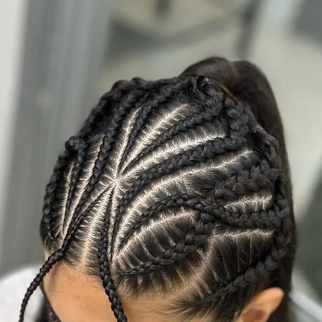 photo_2024-11-25_15-26-03